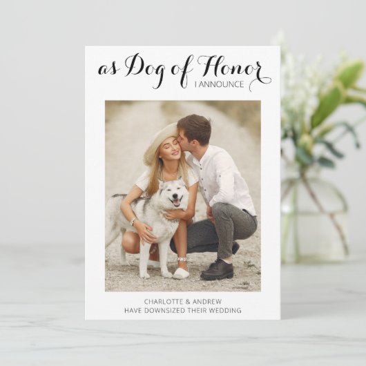 Changement de programme Annonce de mariage de chie (Debout devant)