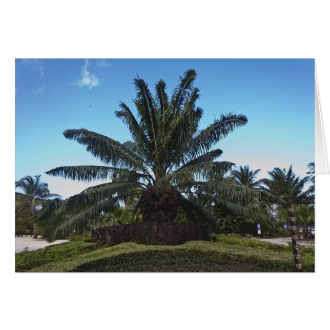 Chankanaab, Cozumel, Mexique (Devant Horizontal)