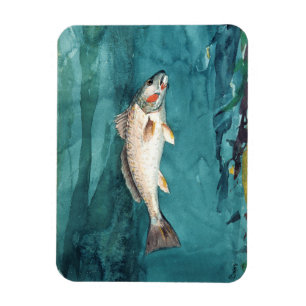 Channel Bass Fish American Painting door Homer Magneet