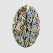 Chanson dans le Dogwood (devant)