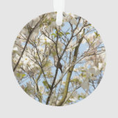 Chanson dans le Dogwood (dos)