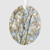 Chanson dans le Dogwood (devant)