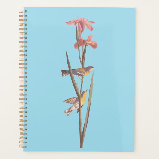 Chanson d'Audubon sur la Paruline jaune bleu (Devant)