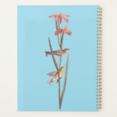 Chanson d'Audubon sur la Paruline jaune bleu (Dos)