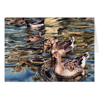 Chanson d'automne - oies et canards dans l'étang