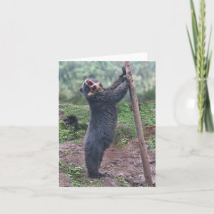 Chanter Bubu Carte pour notes