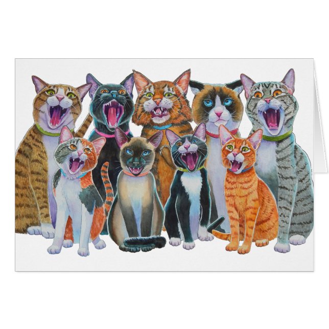 Chanter des chats (Devant horizontal)