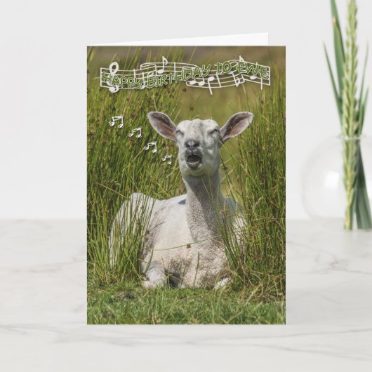 Chanter des moutons Carte de voeux d'anniversaire, (Devant)