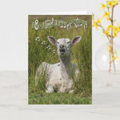 Chanter des moutons Carte de voeux d'anniversaire, (Fleur jaune)