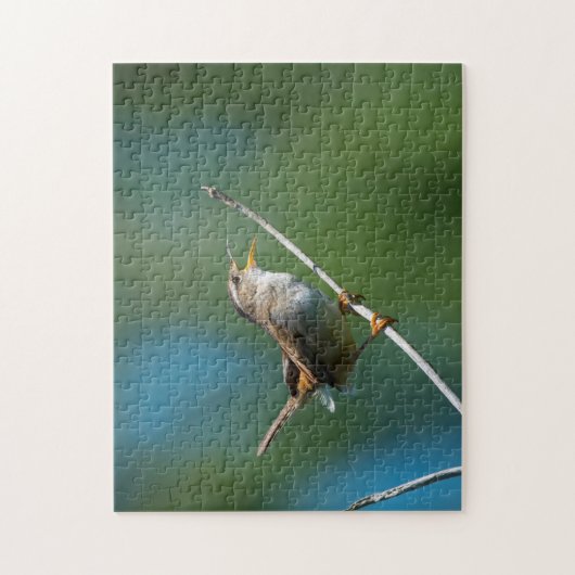 Chanter Marsh Wren puzzle (Vertical)