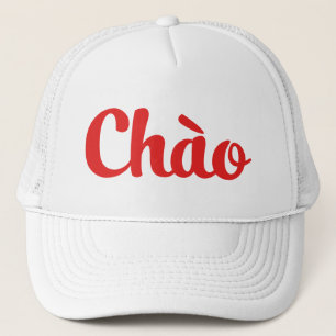 Chào / Hallo ~ Vietnam / Vietnamees / Tiapng Vioo Trucker Pet