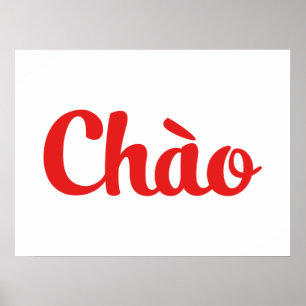 Chào / Hallo ~ Vietnam / Vietnamees / Tiapng Vioot Poster