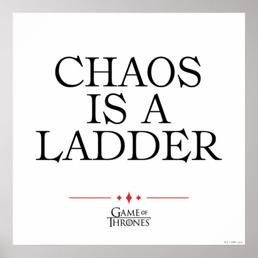 Chaos Is A Ladder Poster (Voorkant)