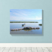 Chapala-meer Pelikanen Canvas Afdruk (Insitu (Houten vloer))