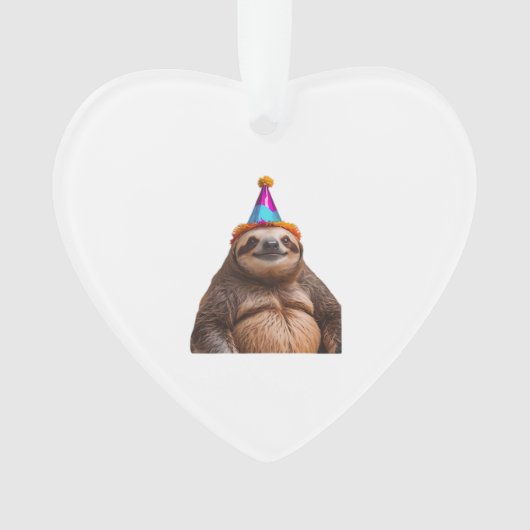 Chapeau de fête d'anniversaire de paresseux gros c (devant)
