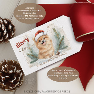 Chapeau de Père Noël de Pomeranian Cozy Étiquette
