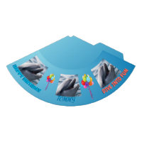 Anniversaire Dauphin Splash