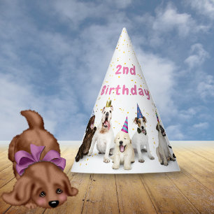 Chapeaux De Fètes Anniversaire de chien Rose
