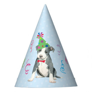 Chapeaux De Fètes Anniversaire du Pit Bull Terrier
