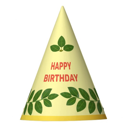 Chapeaux De Fètes Anniversaire Feuille de Green Bay (Devant)