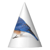 Chapeaux De Fètes Bluebird (Devant)