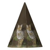 Chapeaux De Fètes Bobcat (Dos)