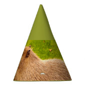 Chapeaux De Fètes Capybara (Droite)