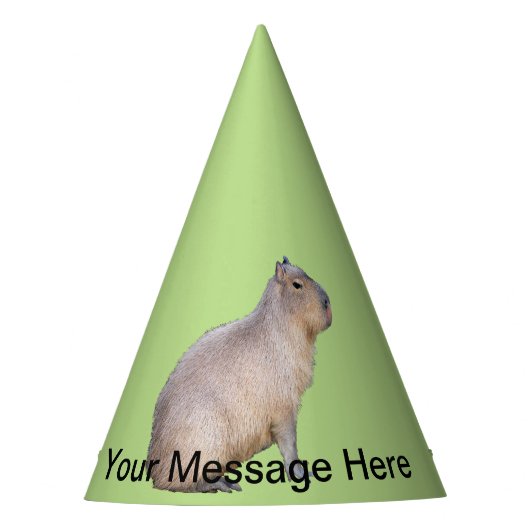 Chapeaux De Fètes Capybara (Devant)