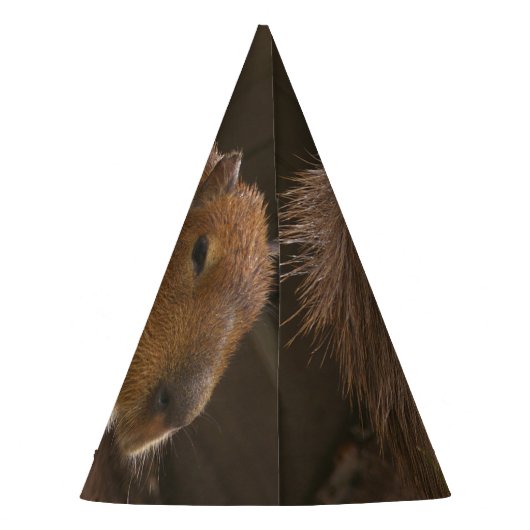 Chapeaux De Fètes Capybara (Dos)