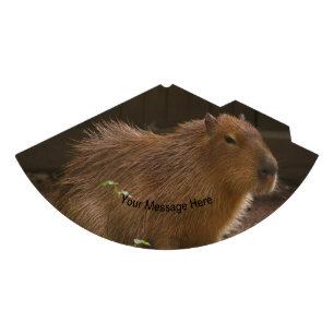 Chapeaux De Fètes Capybara
