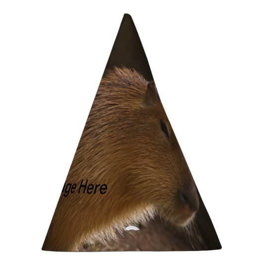 Chapeaux De Fètes Capybara (Droite)