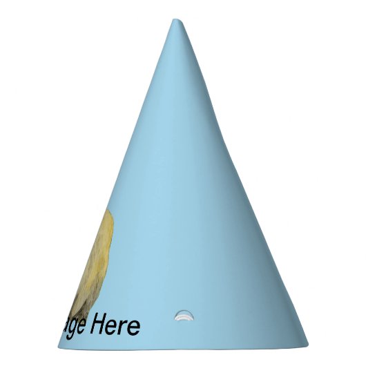 Chapeaux De Fètes Capybara (Droite)