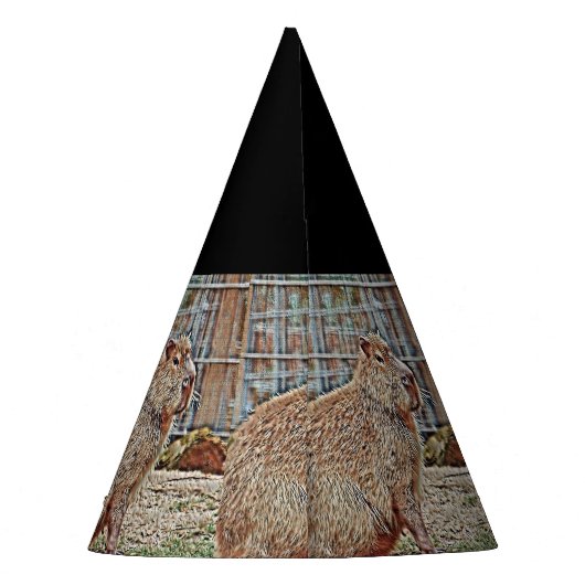 Chapeaux De Fètes Capybara (Dos)