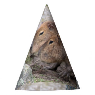 Chapeaux De Fètes Capybarahs