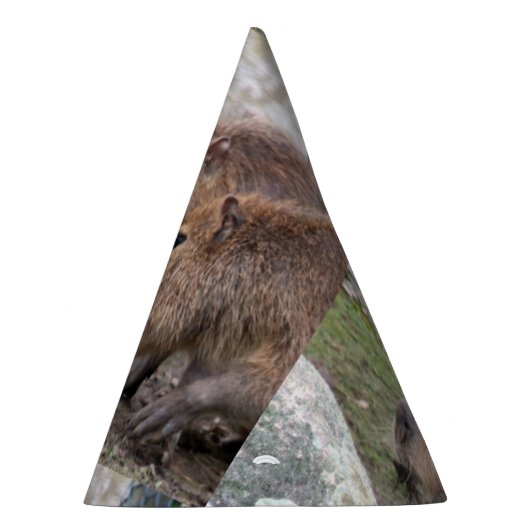 Chapeaux De Fètes Capybarahs (Droite)