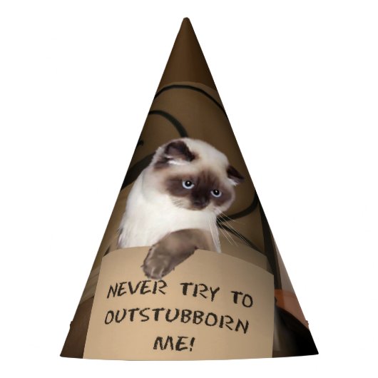 Chapeaux De Fètes Chat dans la boîte (Devant)