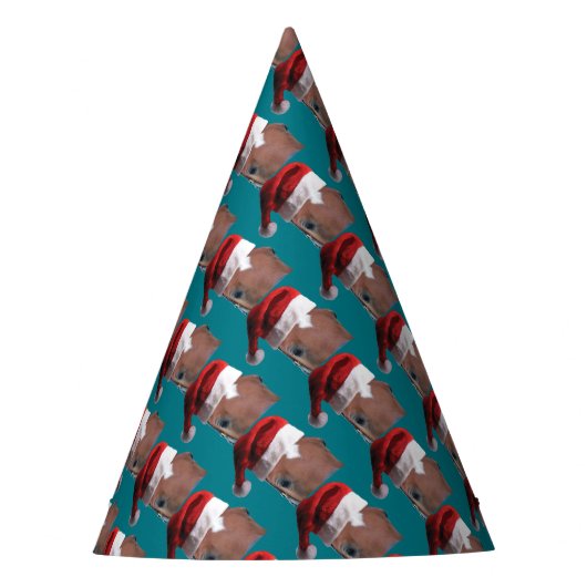 Chapeaux De Fètes Cheval de Noël (Devant)