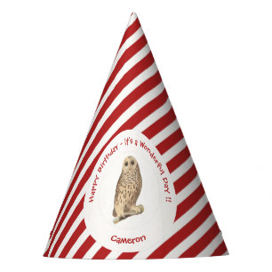 Chapeaux De Fètes Chouette barrée - Anniversaire ou autre événement 