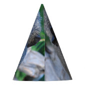 Chapeaux De Fètes Cobaye (Dos)