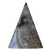 Chapeaux De Fètes Cobaye (Gauche)