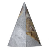 Chapeaux De Fètes Coyote (Dos)