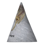 Chapeaux De Fètes Coyote (Droite)