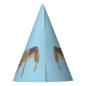 Chapeaux De Fètes Coyote (Dos)