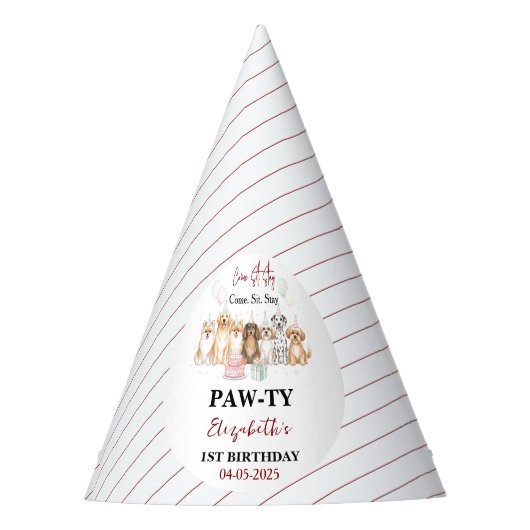 Chapeaux De Fètes Cute Puppy Dog Boy 1st Birthday | Pawty Time First (Devant)