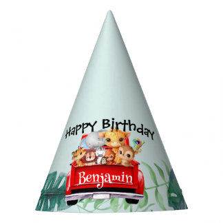 Chapeaux De Fètes Cute Zoo jungle ferme camion tracteur garçon Anniv