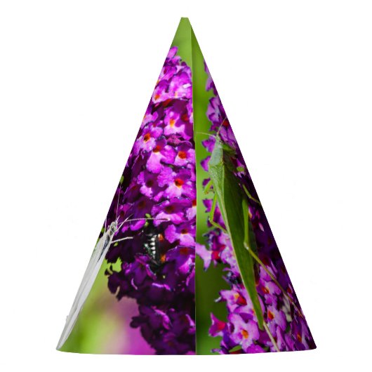 Chapeaux De Fètes énergie katydone (Dos)