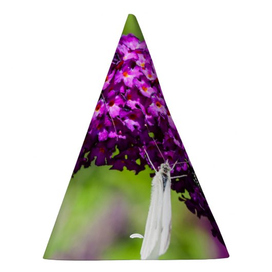 Chapeaux De Fètes énergie katydone (Droite)