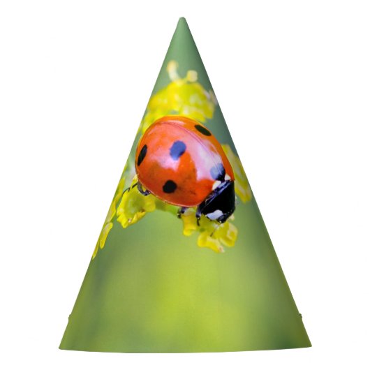 Chapeaux De Fètes femme au sommet (Devant)