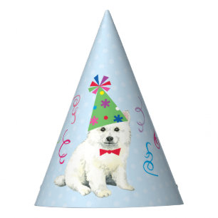 Chapeaux De Fètes Fête d'anniversaire Eskie