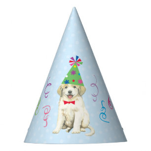 Chapeaux De Fètes Fête d'anniversaire Grand Pyrénées Casquette